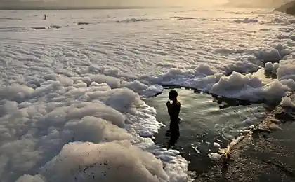 Купание в грязной воде (8 фото)