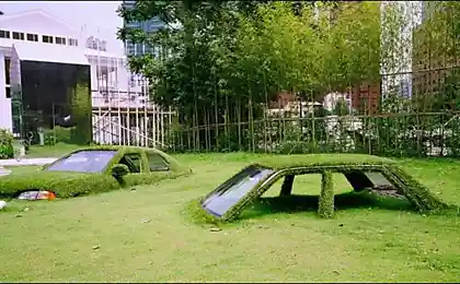 Утонувшие в траве