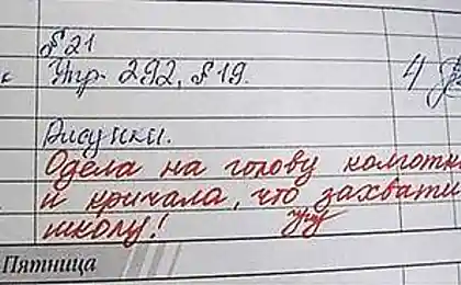 Забавные школьные дневники