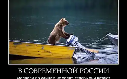 Ведмедики з нами!
