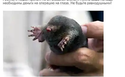 Життя як солод