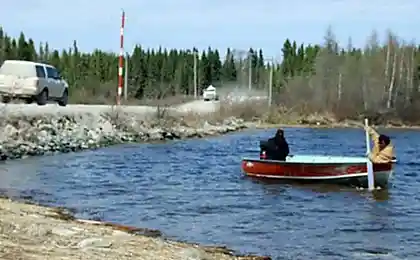 Таинственный зверь на берегу  (6 фотографий)