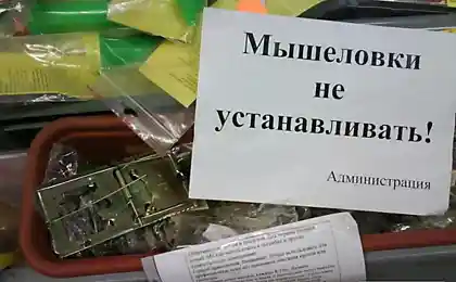 С чего бы это?