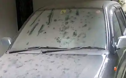 Хто був у своєму гаражі?