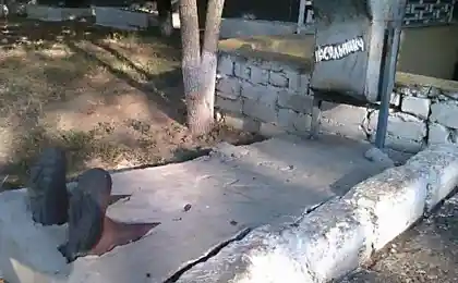 Мега подборка прикольных фотографий
