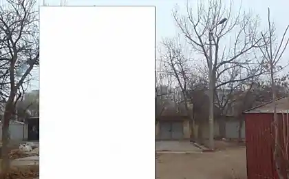 Простое решение жилищного вопроса