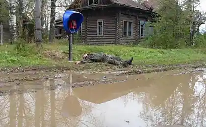 Звоним по таксофонам до помутнения в глазах