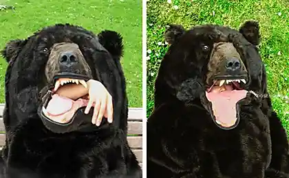 Прикольный спальник (2 фотографии)