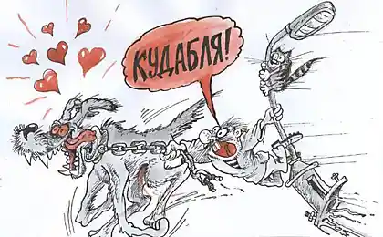 Веселая прогулка