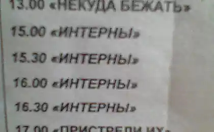 Некуда бежать и никуда от них не деться