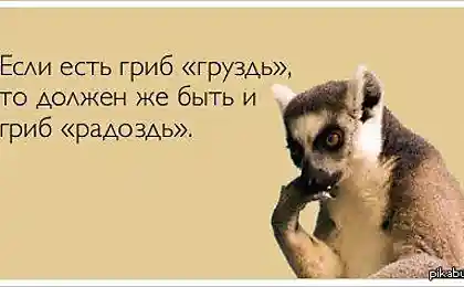 Лемур прав!