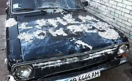 Закупівля на ТОВ "Стутаре" (3 фото)