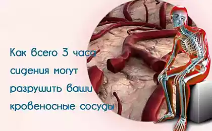 Как всего 3 часа сидения могут разрушить ваши кровеносные сосуды