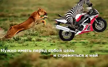 Искусство быть счастливым