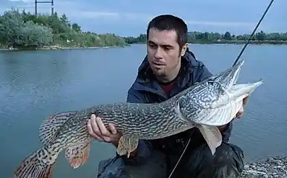 Рыбацкое счастье