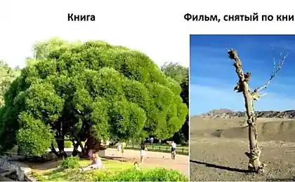 Книга проти фільму