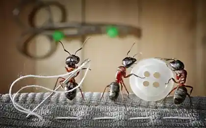 Ан фотосесія