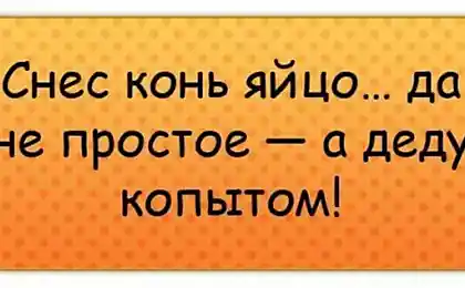 Статусы и цитаты
