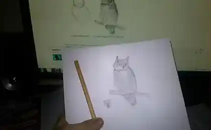 Як намалювати сова. й