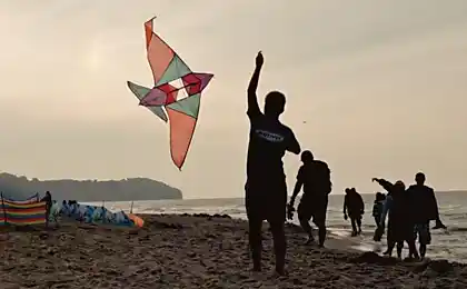 Inesperado de los hechos acerca de nuestro mundo y sus habitantes,