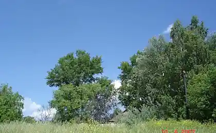 Красивые картинки о деревне