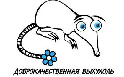 Классификация выхухолей