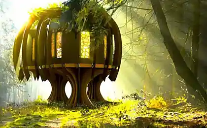 Тихое звукоизоляционное святилище «Quiet Treehouse»