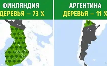 Сколько деревьев приходится на каждого жителя в разных странах