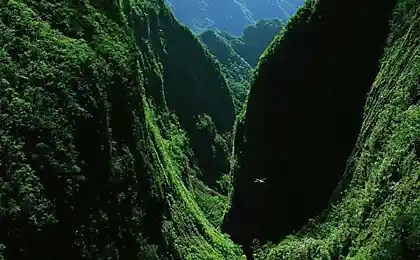 Не перестаем удивляться