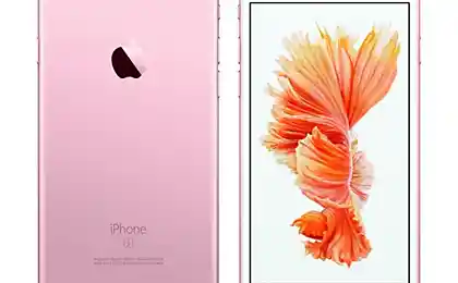 Саша Спилберг vs. iPhone 6S Rose Gold