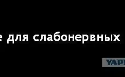Аморальные операции на медведях