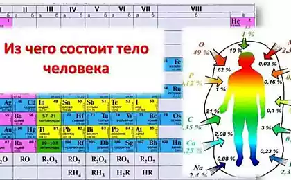 Калий: ВАЖНЫЙ регулятор обмена веществ в организме человека