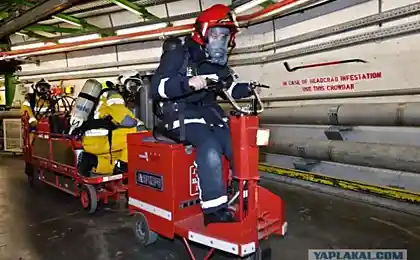 Физики любят Халву!