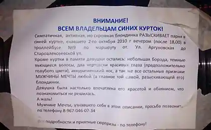 Владельцам синих курток читать обязательно!