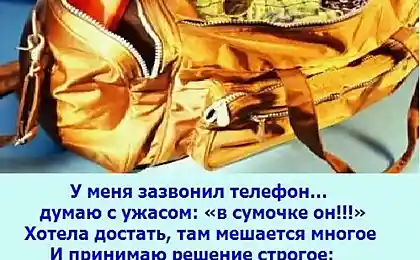 Женская сумка...)))