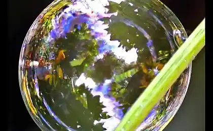 Капли