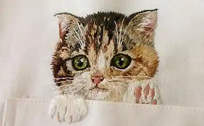 Вышивка с котами на рубашках