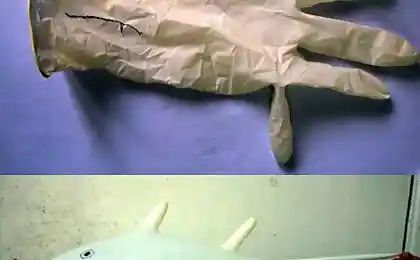 Рыба
