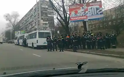 Все хотят кушать под Новый год