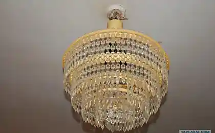 Популярность