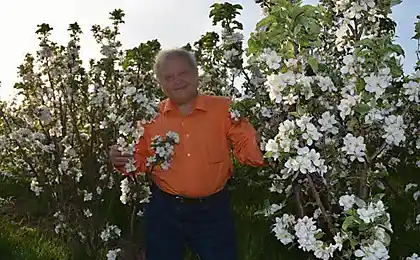 Cómo crear rinde jardín en la arena sin pala