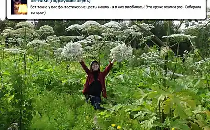 Жаль девушку