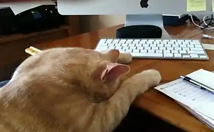А надо было сохранять ....)))