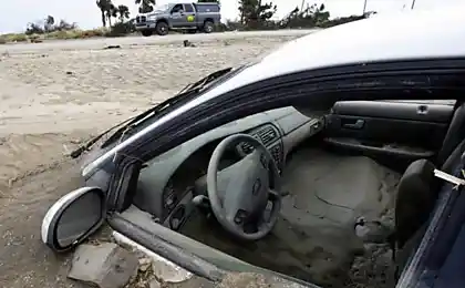 (фото + текст)