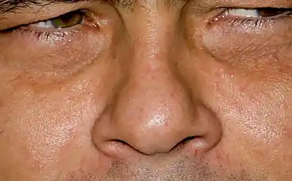 Зірки
