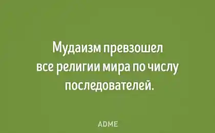 20 открыток от тех, кто за словом в карман не лезет