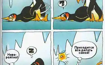 Джокери на фотографії