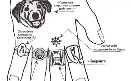 ЖЖ-ист " в законе"