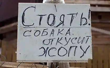 Стоять-бояться
