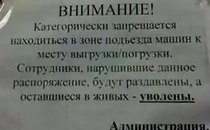 Всегда есть альтернатива